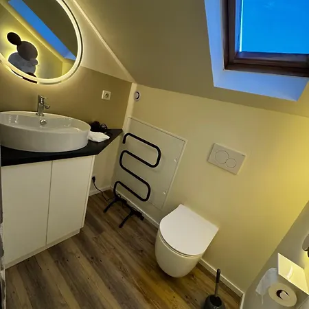 別荘 Just In Colmar, Maison Complete Avec Parking Prive