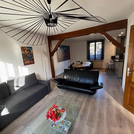 Just In Colmar, Maison Complete Avec Parking Prive * コルマール