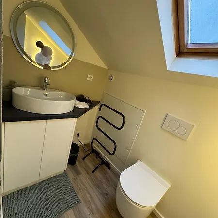 Vakantiehuis Just In Colmar, Maison Complete Avec Parking Prive *