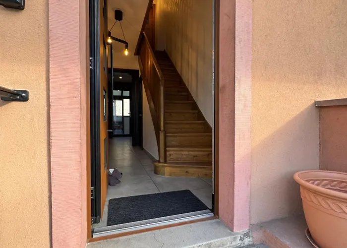 Just In Colmar, Maison Complete Avec Parking Prive Feriehus